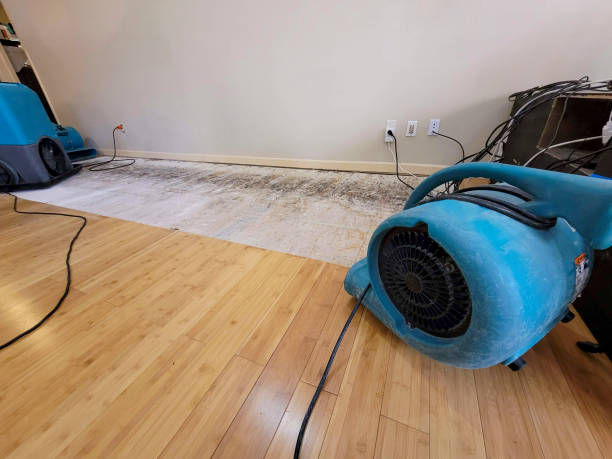 Professional Water Damage Repair technician working in East Berne, NY
